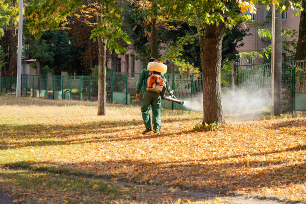 Best Pest Inspection Near Me  in Lucerne Valley, CA
